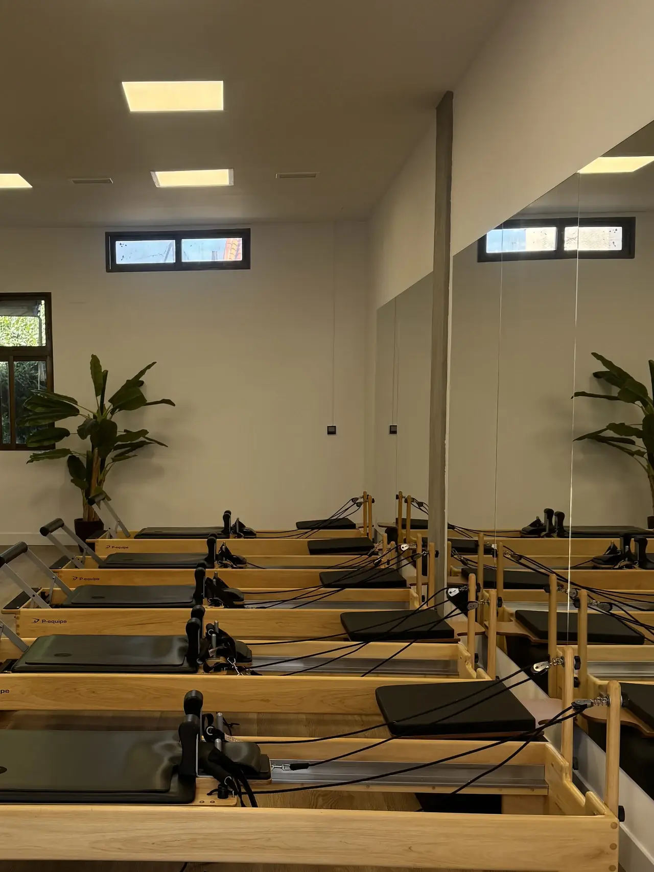Sala con reformers, planta y luz natural — estudio premium de pilates en Aravaca